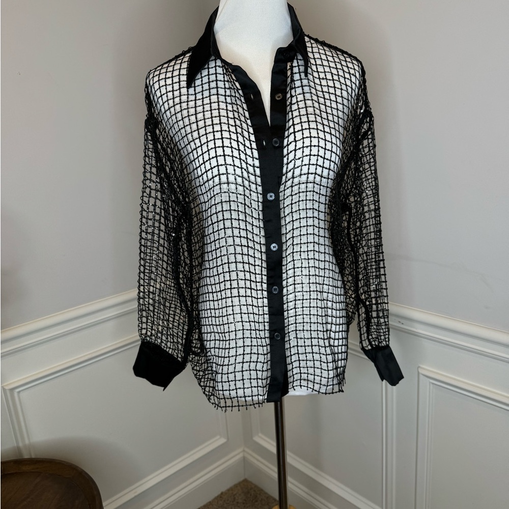 Black Sheer Mesh Long Sleeve Button Down Shirt